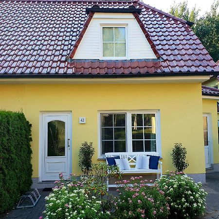 Am Deich 43 Βίλα Zingst Εξωτερικό φωτογραφία